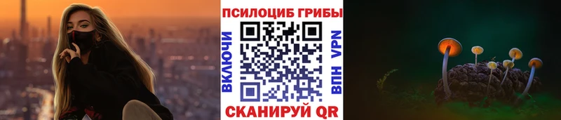 Псилоцибиновые грибы мицелий  Кущёвская 